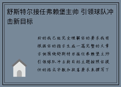 舒斯特尔接任弗赖堡主帅 引领球队冲击新目标