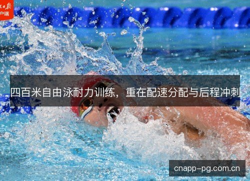 四百米自由泳耐力训练，重在配速分配与后程冲刺